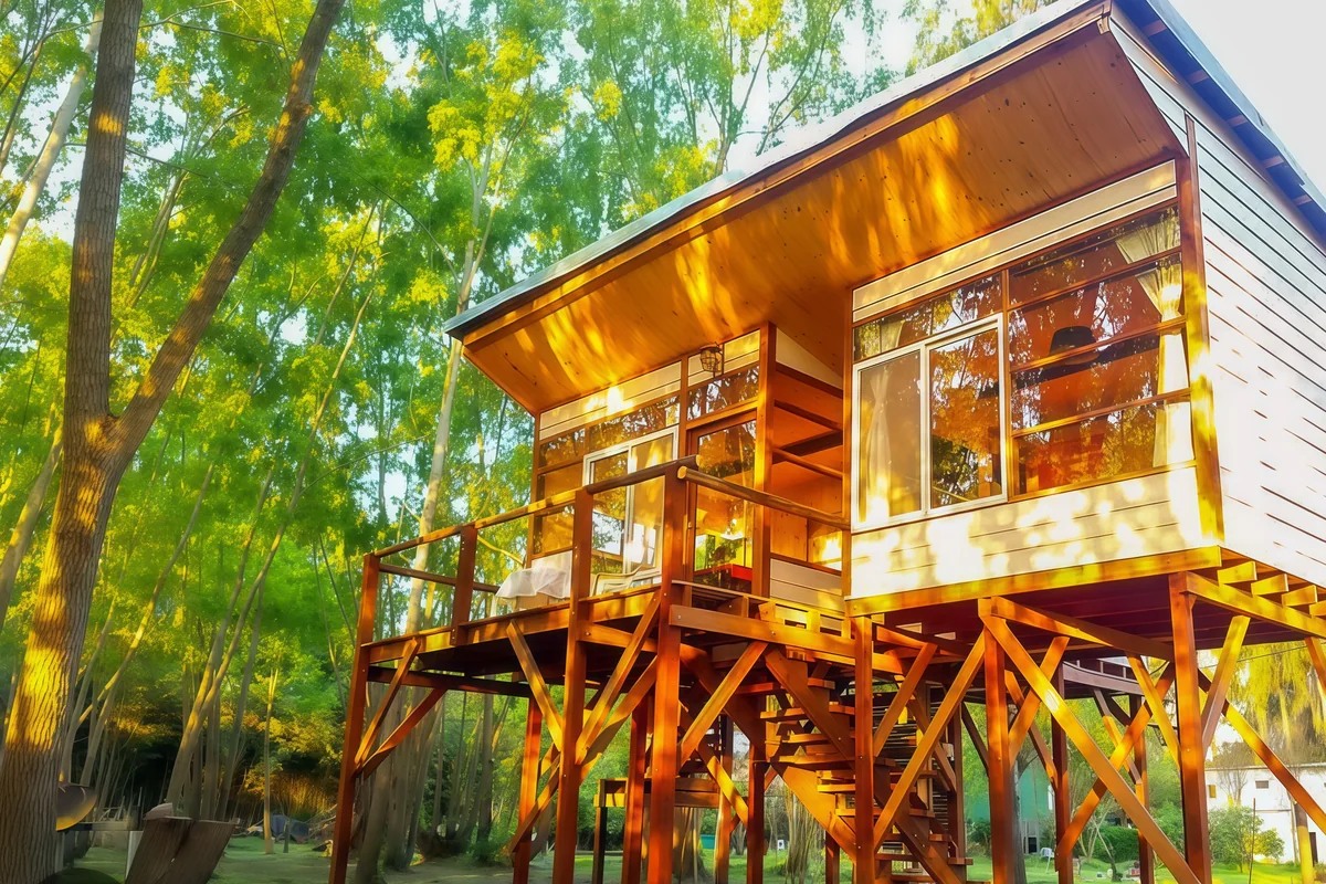 Cabaña Asia: volumen de madera elevado sobre pilotes entre los árboles